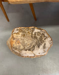 Large Petrified Wood Stump Side Table 18 inches tall