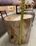 Large Petrified Wood Stump Side Table 19.5 inches Tall